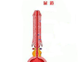 网站.jpg